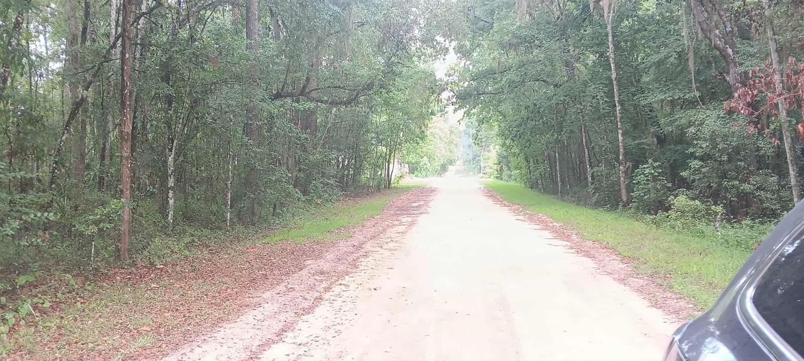 This lot in Rainbow Park is zoned R4. Close to the World Equestrian Center. Vacant Land ready to build your dream home or multi-family home. Owner finance available.