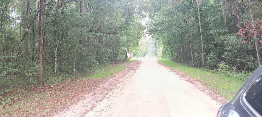 This lot in Rainbow Park is zoned R4. Close to the World Equestrian Center. Vacant Land ready to build your dream home or multi-family home. Owner finance available.