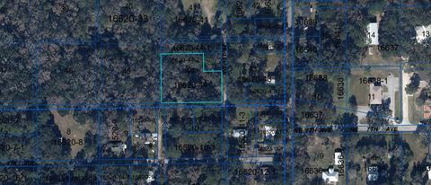 706 NW 1ST STREET MICANOPY FL 32667