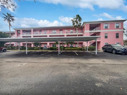 A home in PUNTA GORDA