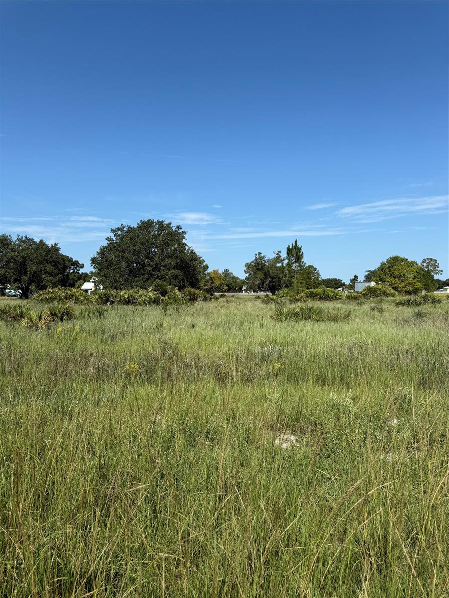 AVON PARK ESTATE - Land