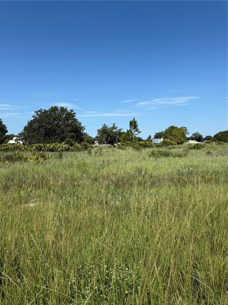 AVON PARK ESTATE - Land