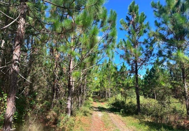 SOUTH WALK - Residential