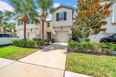 11728 CAMBIUM CROWN DRIVE RIVERVIEW FL 33569