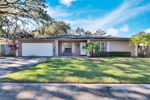 A home in VALRICO