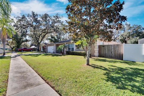 A home in VALRICO