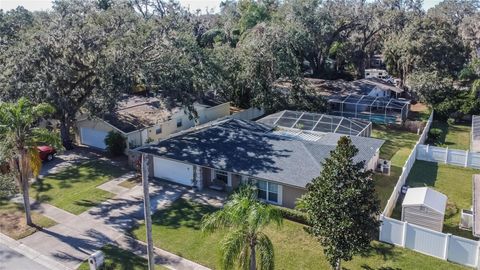 A home in VALRICO