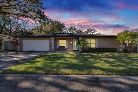 A home in VALRICO