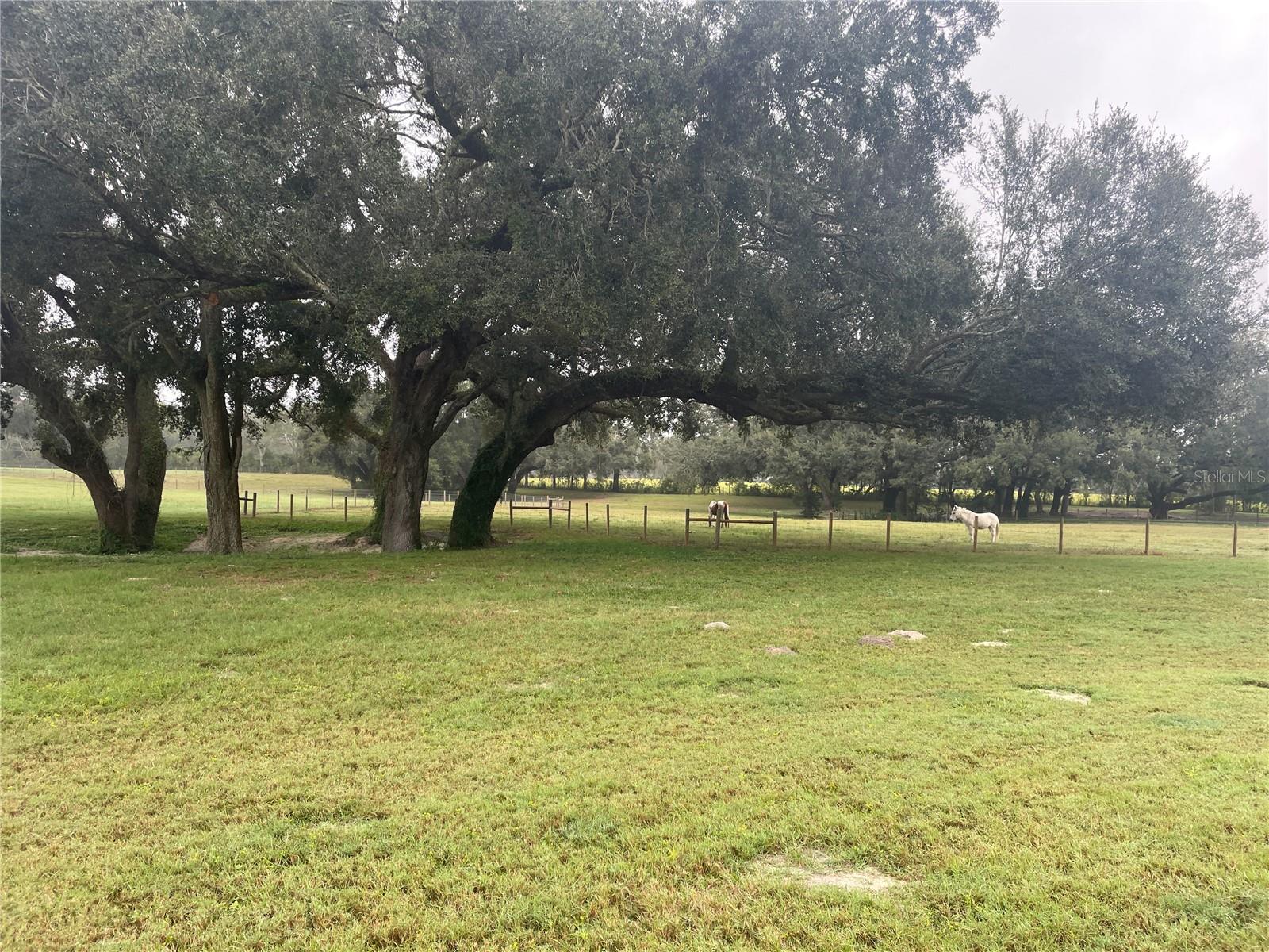 4107 SW STATE ROAD 45