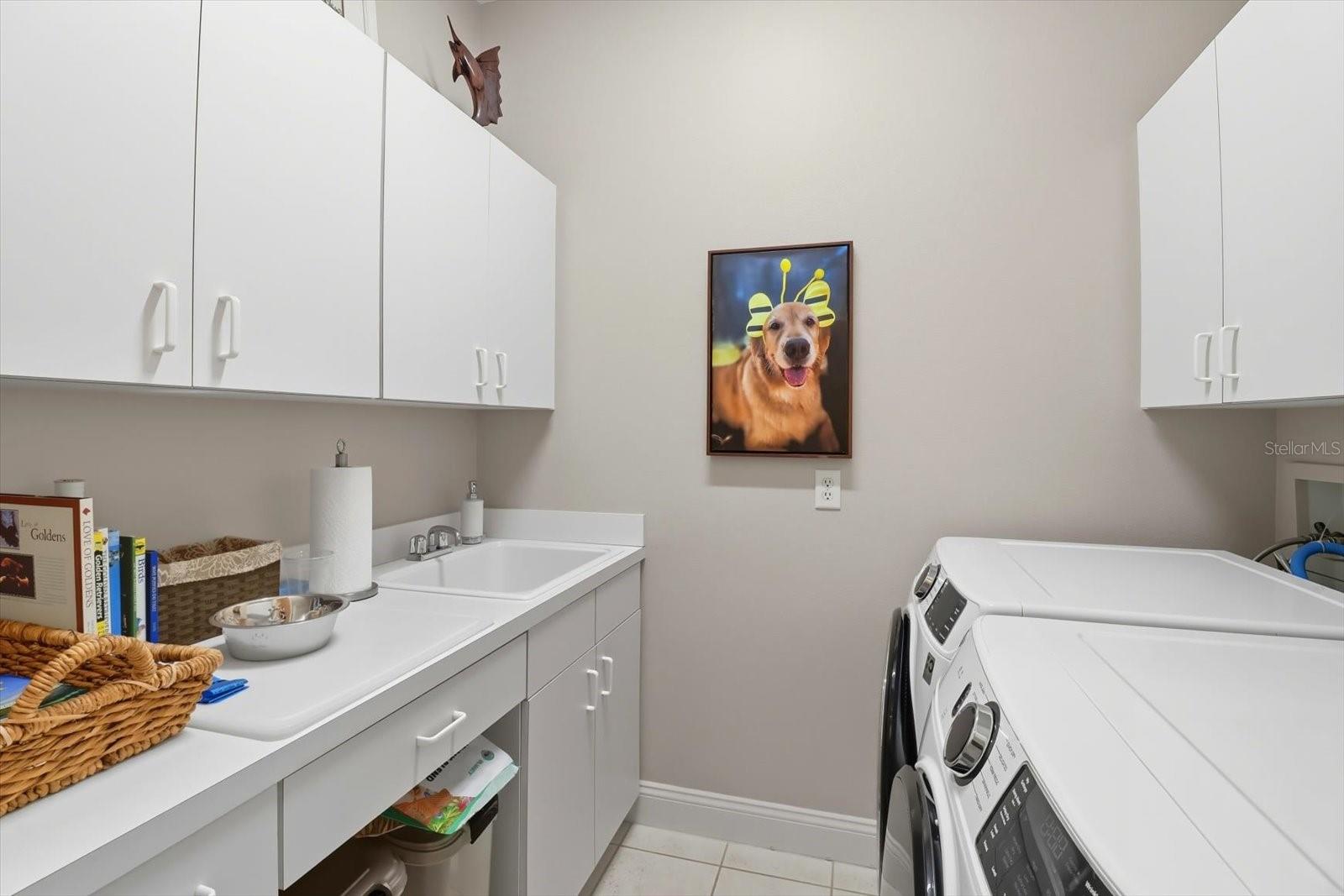 FOX HOLLOW VILLAGE - Residential