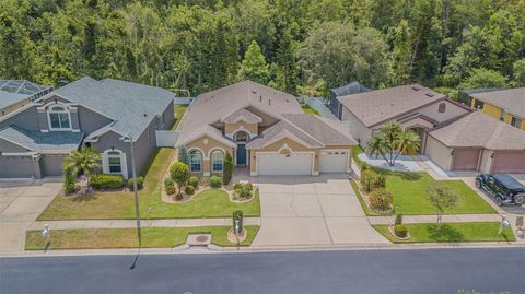 2124 RENSSELAER DRIVE WESLEY CHAPEL FL 33543