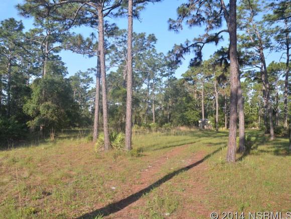 Howe & Curriers Allotment - Land