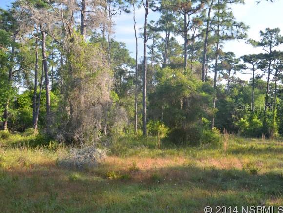 Howe & Curriers Allotment - Land