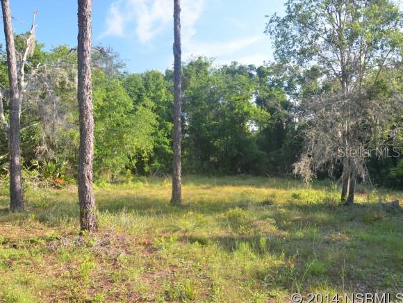 Howe & Curriers Allotment - Land