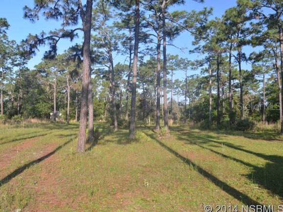Howe & Curriers Allotment - Land