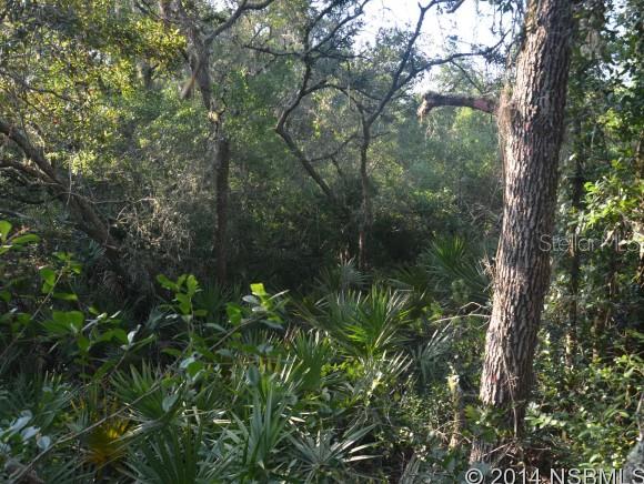 Howe & Curriers Allotment - Land