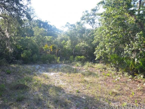 Howe & Curriers Allotment - Land