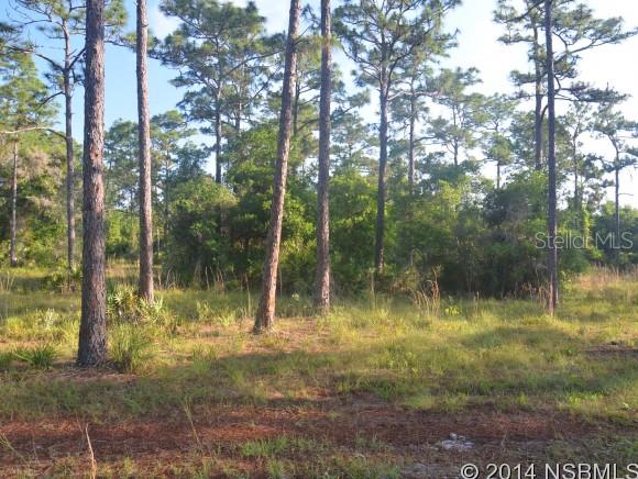 Howe & Curriers Allotment - Land