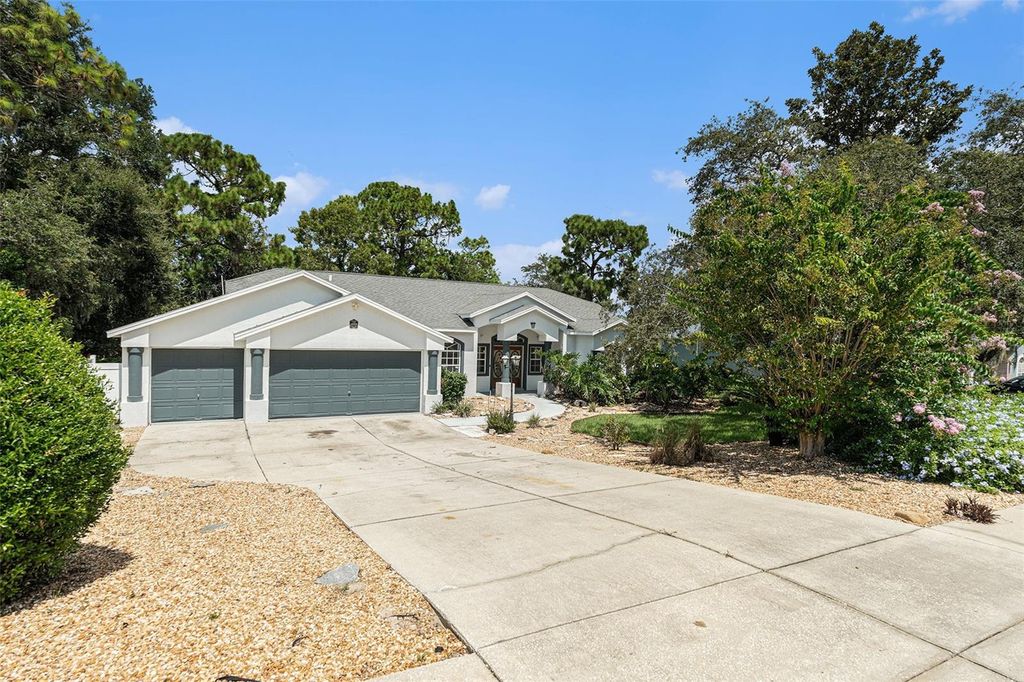 Photo of 14606 Linden Drive, Spring Hill, FL 34609 (MLS # O6339311)