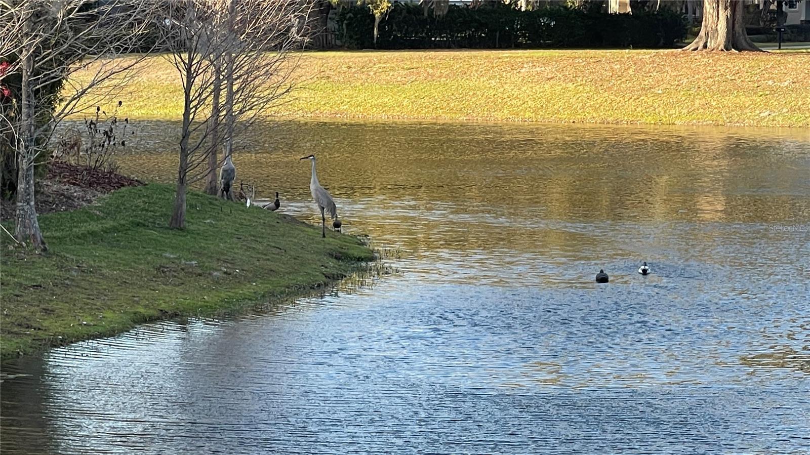 PARK PLACE ON LAKE JOANNA ADD 03 - Residential