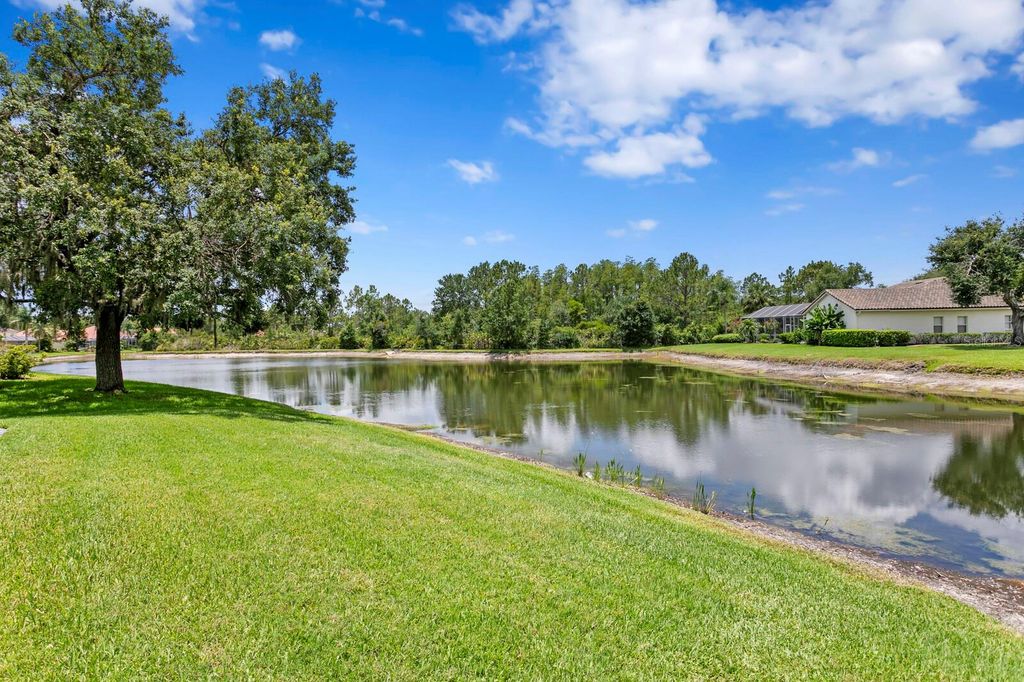 Photo of 17807 Arbor Greene Drive, Tampa, FL 33647 (MLS # TB8397389)