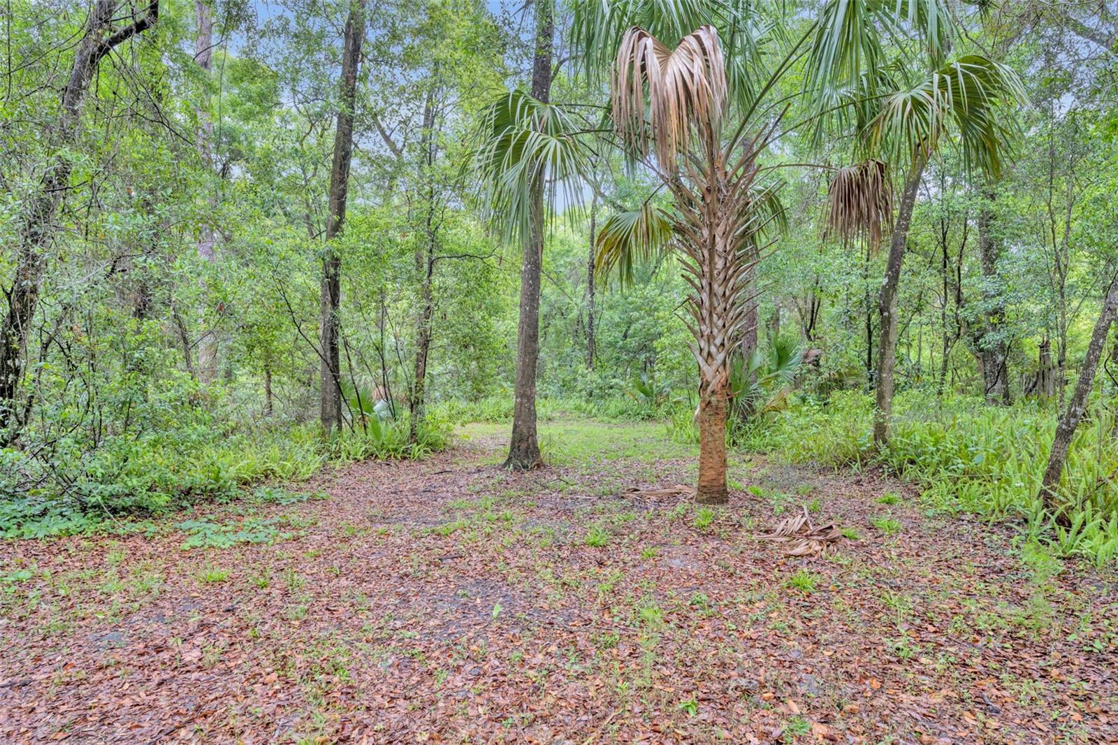 WESTWOOD MINI SUB - Residential