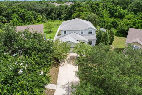 A home in RIVERVIEW