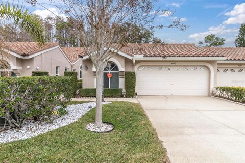 Photo of 3837 Darston Street, Palm Harbor, FL 34685 (MLS # TB8465990)