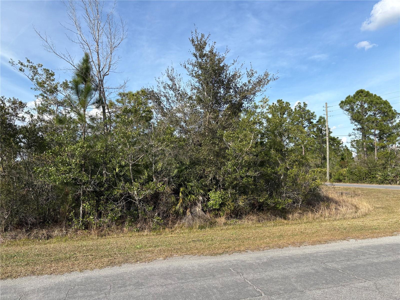 CAPE ORLANDO ESTATES - Land