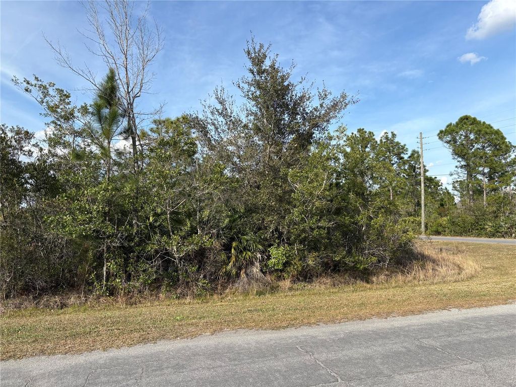 Photo of Odham Street, Orlando, FL 32833 (MLS # O6384412)