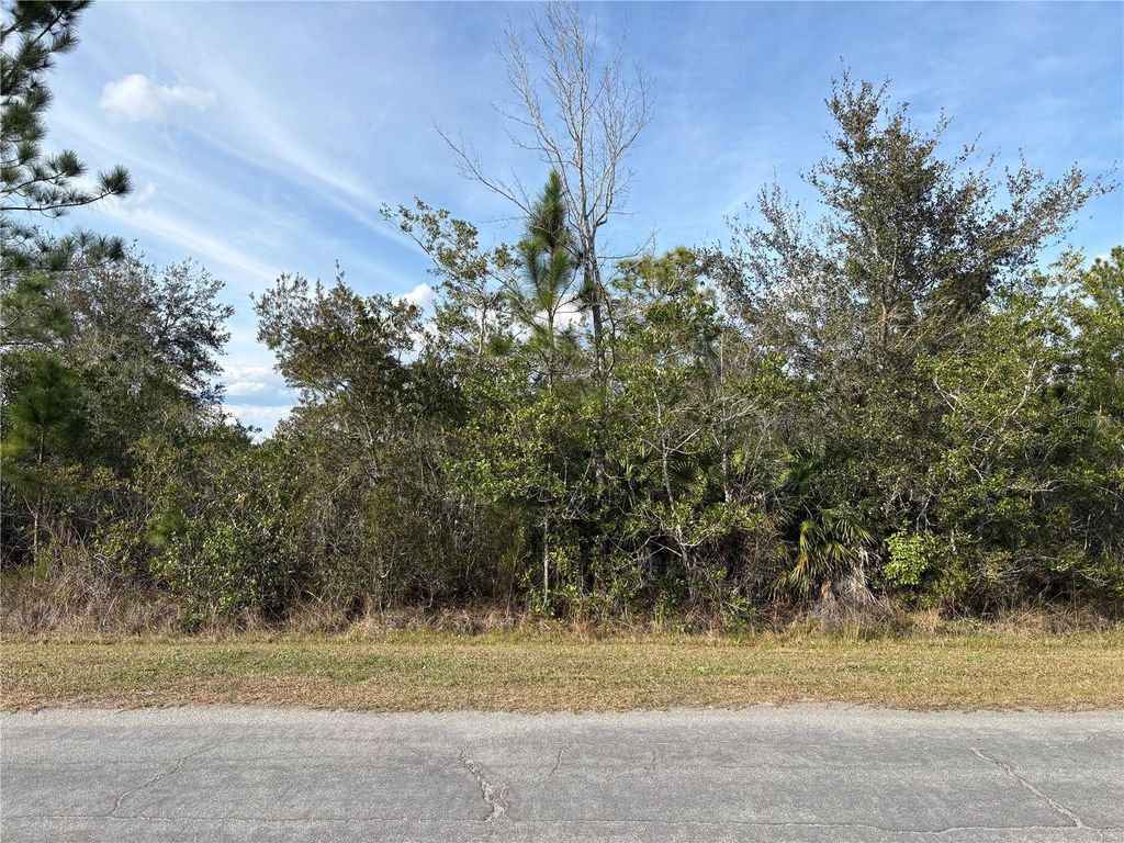 Photo of Odham Street, Orlando, FL 32833 (MLS # O6384412)