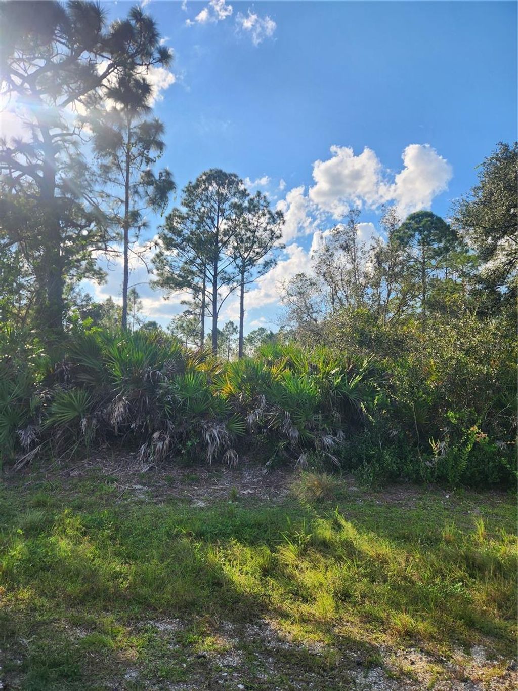 Photo of 5101 San Juan Drive, Sebring, FL 33872 (MLS # G5103833)