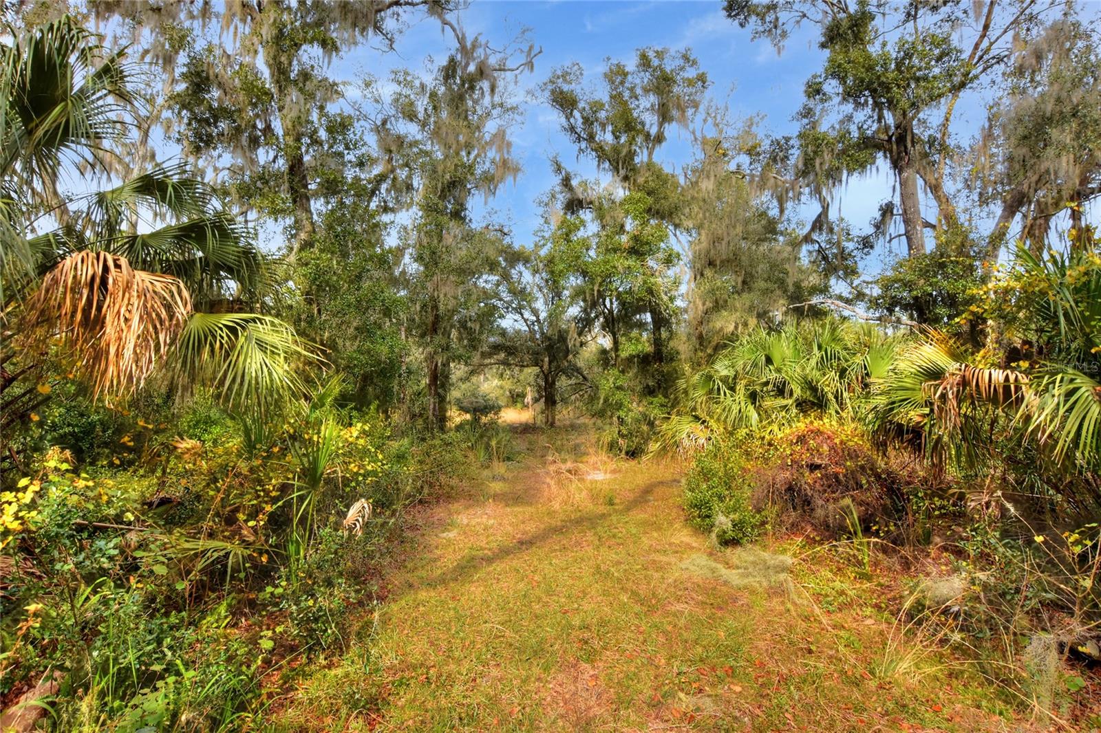 0 KEYSVILLE ROAD