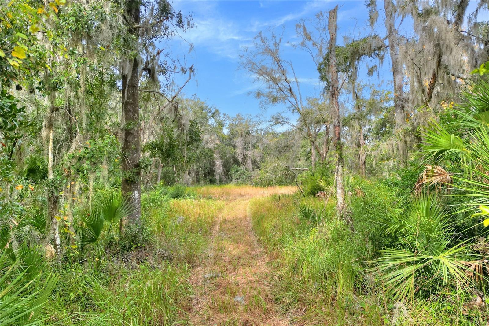 0 KEYSVILLE ROAD