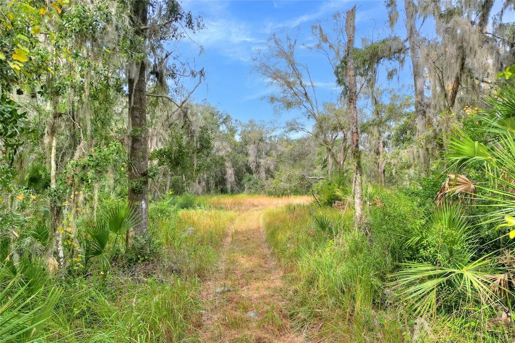 Photo of 0 Keysville Road, Lithia, FL 33547 (MLS # TB8405514)