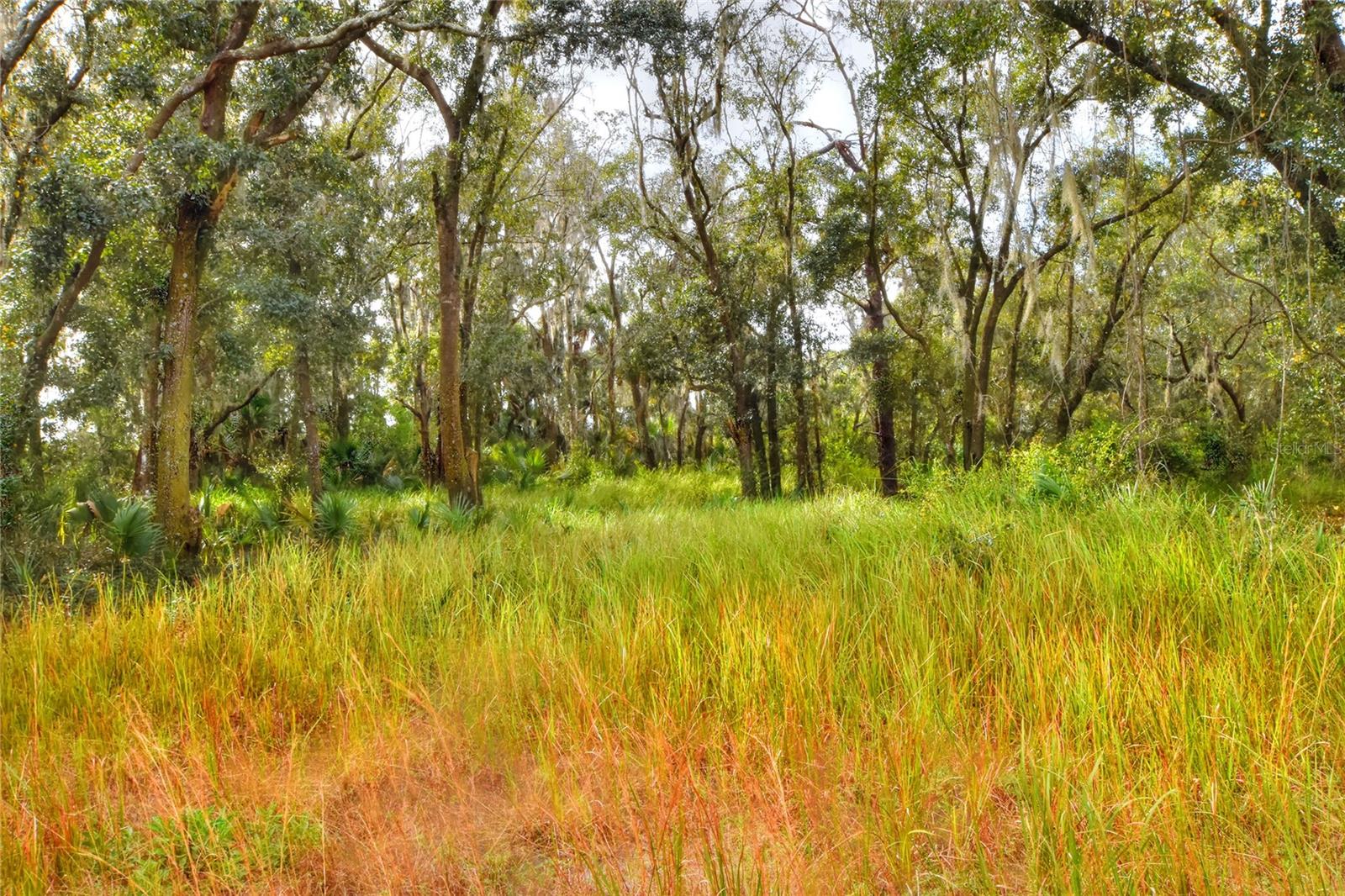 RURAL HOMESTEAD! LOT 2 - 8.34 ACRES - ADJOINGING LAND ALSO AVAILABLE. This secluded parcel is home to a wide variety of trees and vegetation - creating the perfect hidden retreat. With the combination of dense foliage and small clearings, it is an ideal place for wildlife, recreational activities and your dream home. Less than 20 minutes from Brandon, Lakeland and Plant City, the location offers convenient access to shopping, dining and businesses, yet feels perfectly private in rural Lithia. With no HOA or restrictions, bring your animals and all the outdoor fun to embrace the country lifestyle.
