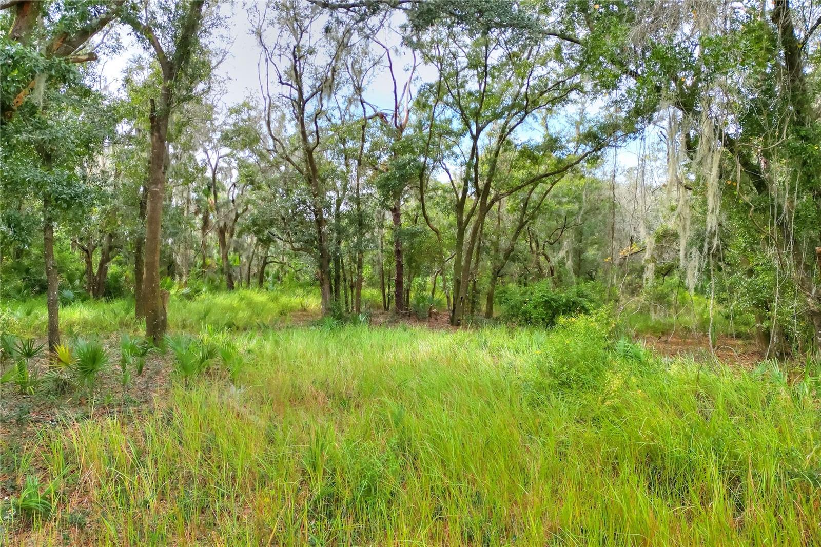 0 KEYSVILLE ROAD