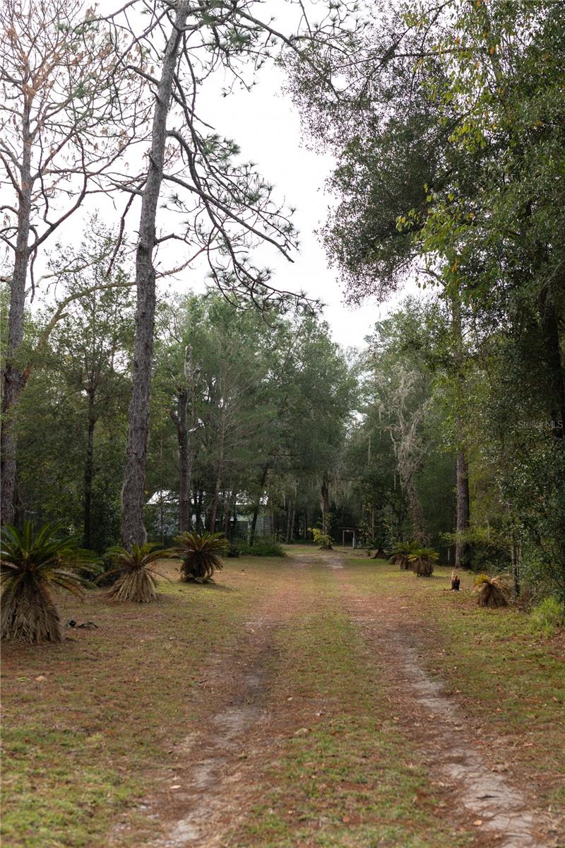 DEER HAVEN ESTATE UNREC - Residential