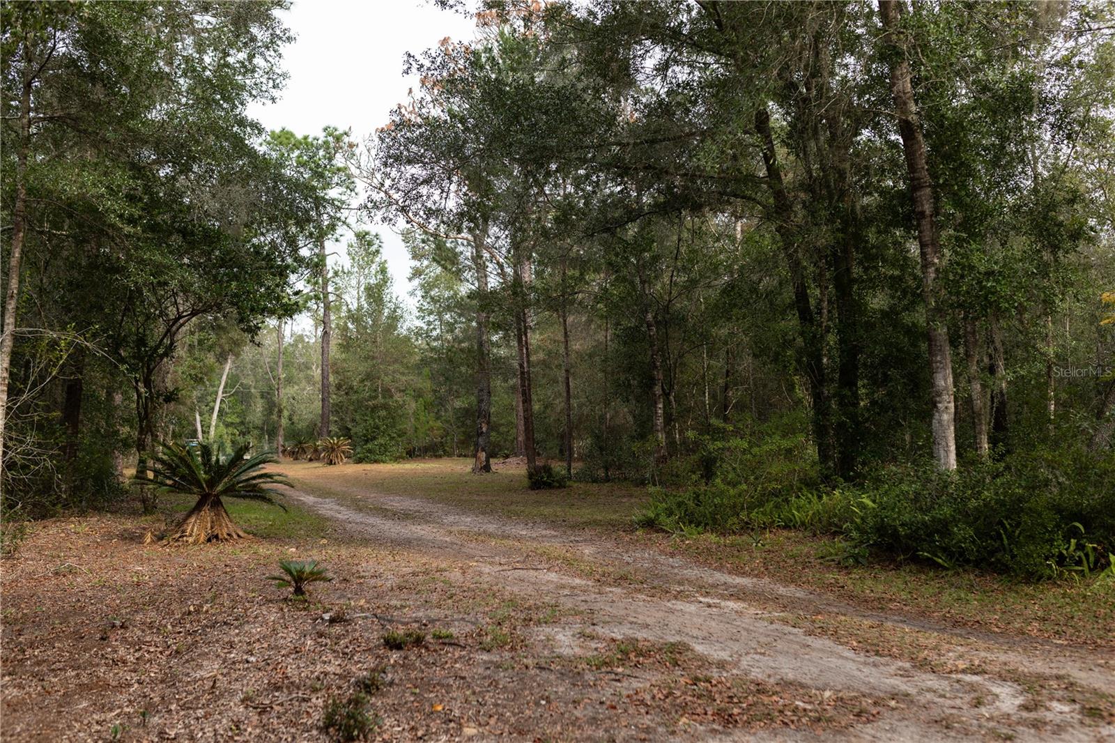 DEER HAVEN ESTATE UNREC - Residential