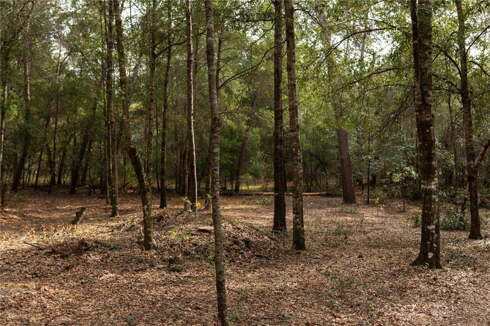 DEER HAVEN ESTATE UNREC - Residential