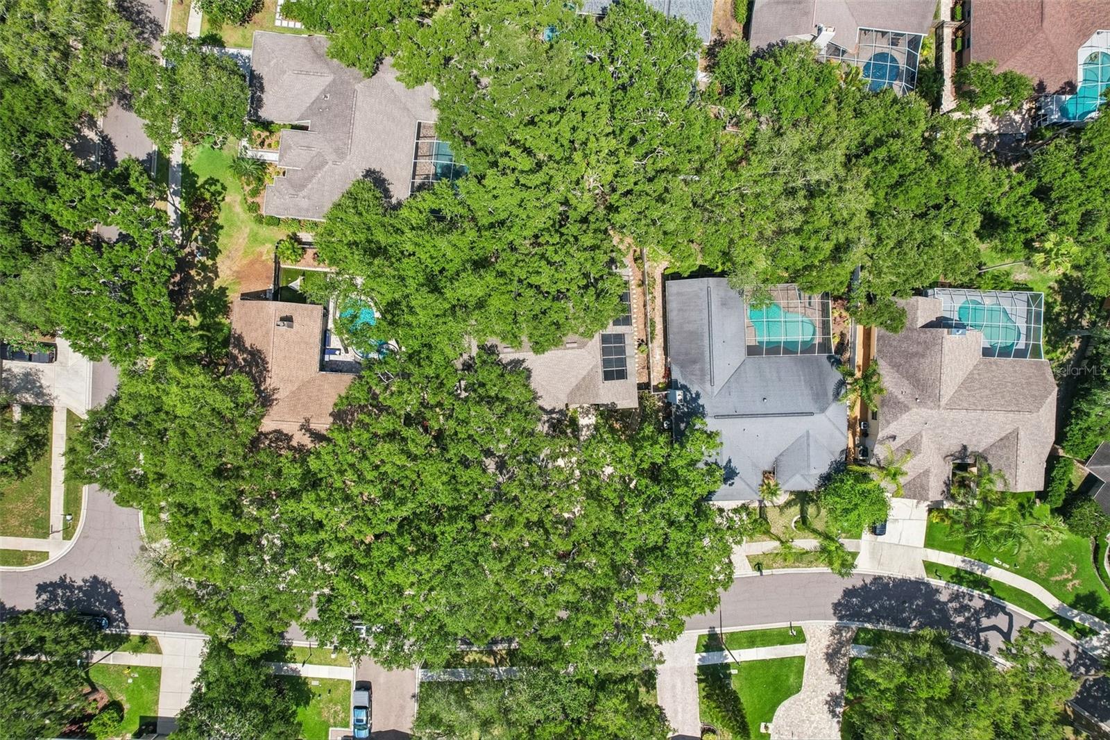 LA FOREST AT GREEN SPGS THE GROVE - Residential