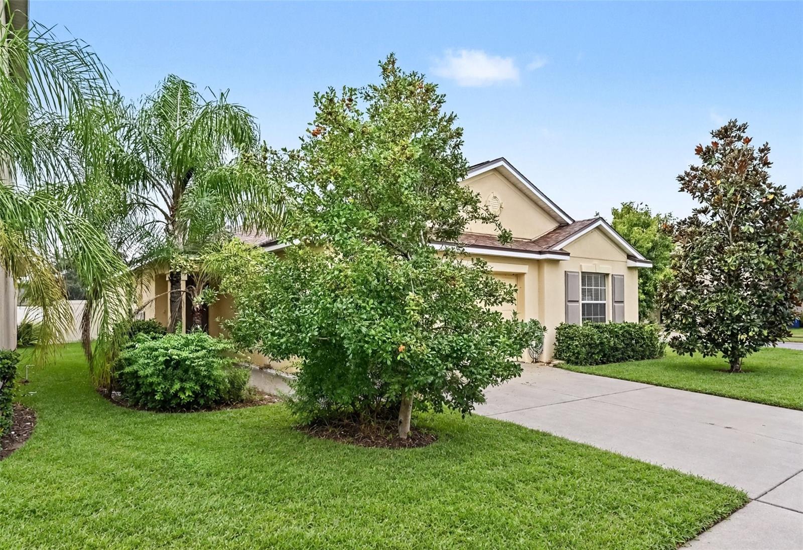 1501 CLIMBING DAYFLOWER DRIVE