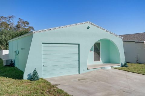 A home in DUNEDIN