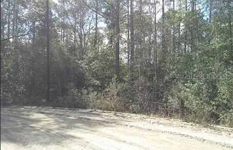 Photo of Tbd SE 213th Terrace, Umatilla, FL 32784 (MLS # G5119323)