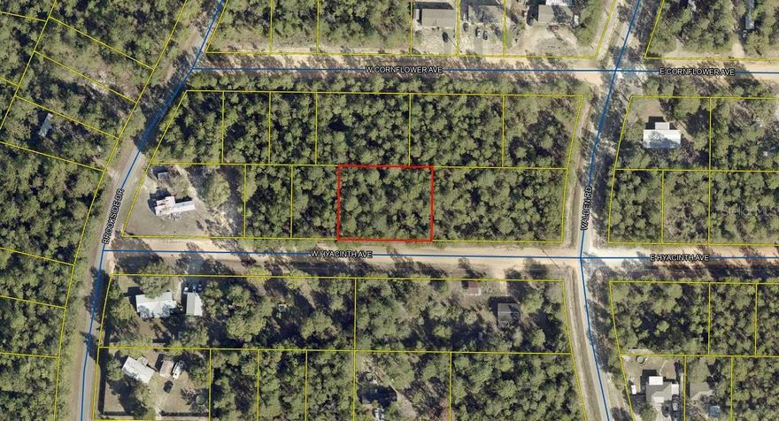 This nearly half acre lot in north Florida can be yours! Don't miss your opportunity to purchase 0.45 acre of vacant Florida land. 160 feet of frontage! No HOA so bring your toys! This lot is only a 40 mile drive to the Florida/Alabama state line. Kings Lake, Holly Lake and Juniper Lake are all within 10 miles, offering great scenery nearby! Less than 7 miles from Mossy Head School (Elementary). About 10 miles from Walton Middle School. Less than 10 miles from Walton High School. Less than 10 miles to the Walton Community Health Center. About 10 miles to Wal-Mart. Within 10 miles of downtown Defuniak Springs! Approximately 26 miles from Morrison Springs! Approximately 40 miles to South Walton Public Beach! Buyer and/or Buyer's Agent should use due diligence period to research the property.