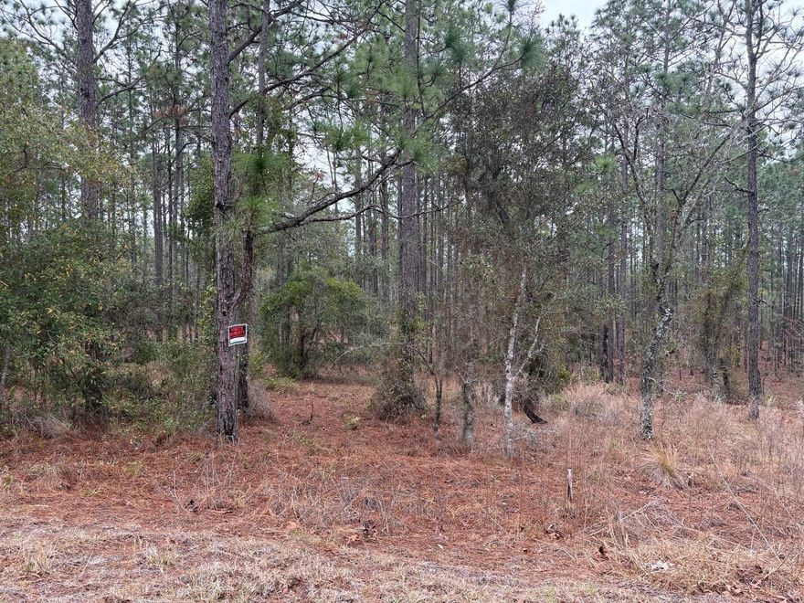 Rare opportunity to own 20 high and dry wooded acres in the desirable Rainbow Farms community of Dunnellon, Florida. Zoned A1, this versatile property offers endless possibilities — build your custom dream home, establish a private farm, bring your horses or livestock, or create the ultimate country retreat.

Enjoy the privacy of mature trees and wide-open space while being surrounded by other established homes. With plenty of room for barns, workshops, gardens, RVs, and all your recreational toys, this property is ideal for those seeking both freedom and flexibility.

High and dry land in this area is a valuable find — bring your builder and your vision and make it your own!