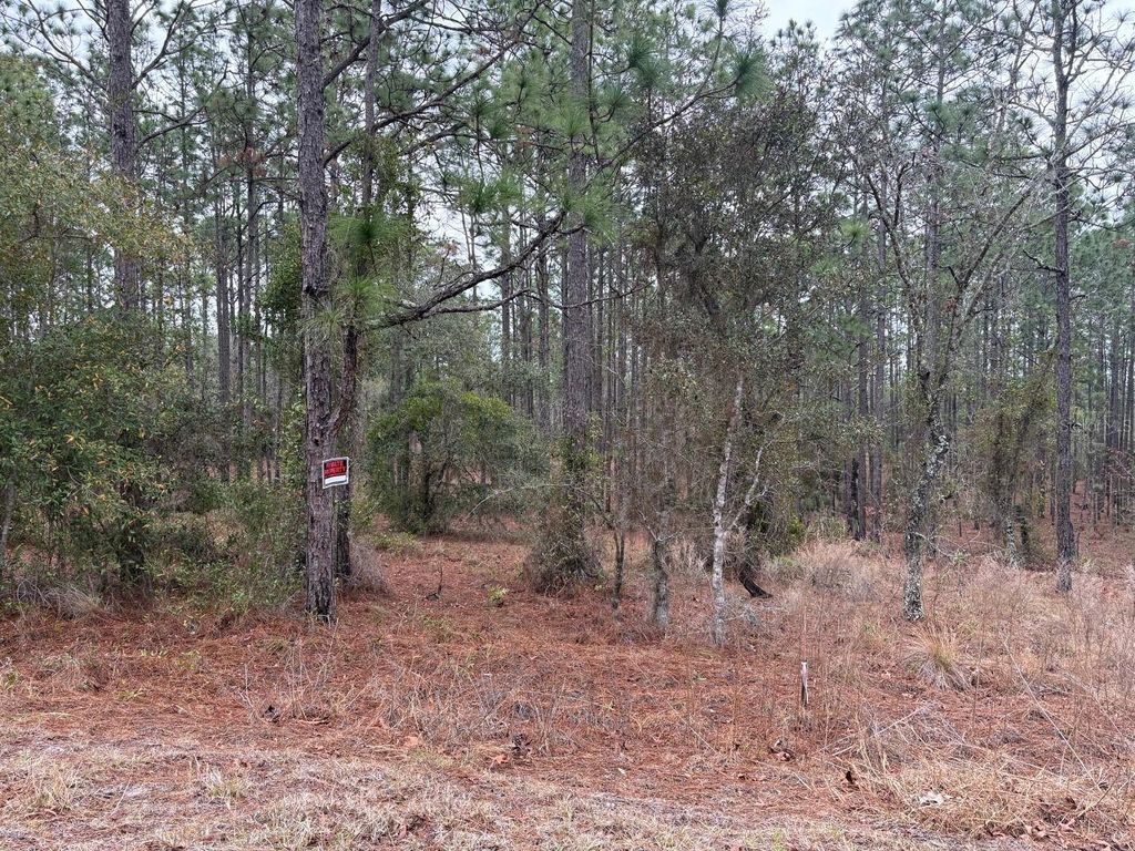 Photo of NW Terrapin Drive, Dunnellon, FL 34431 (MLS # W7883125)