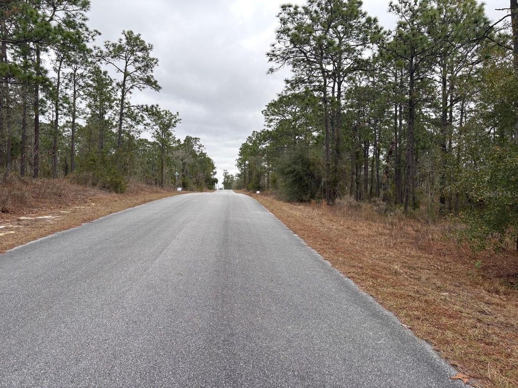 Photo of NW Terrapin Drive, Dunnellon, FL 34431 (MLS # W7883125)