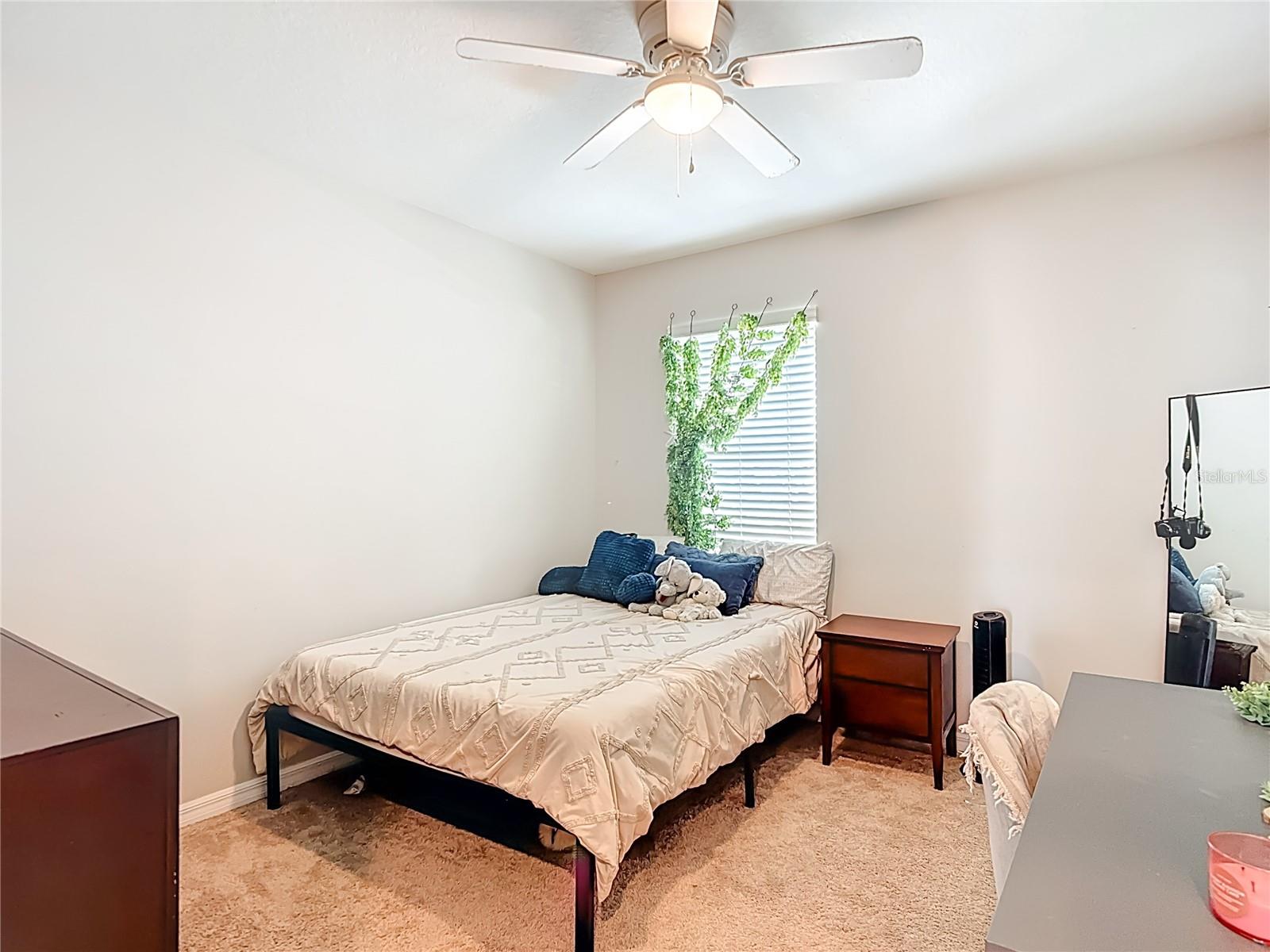 JOHNSON POINTE - Residential