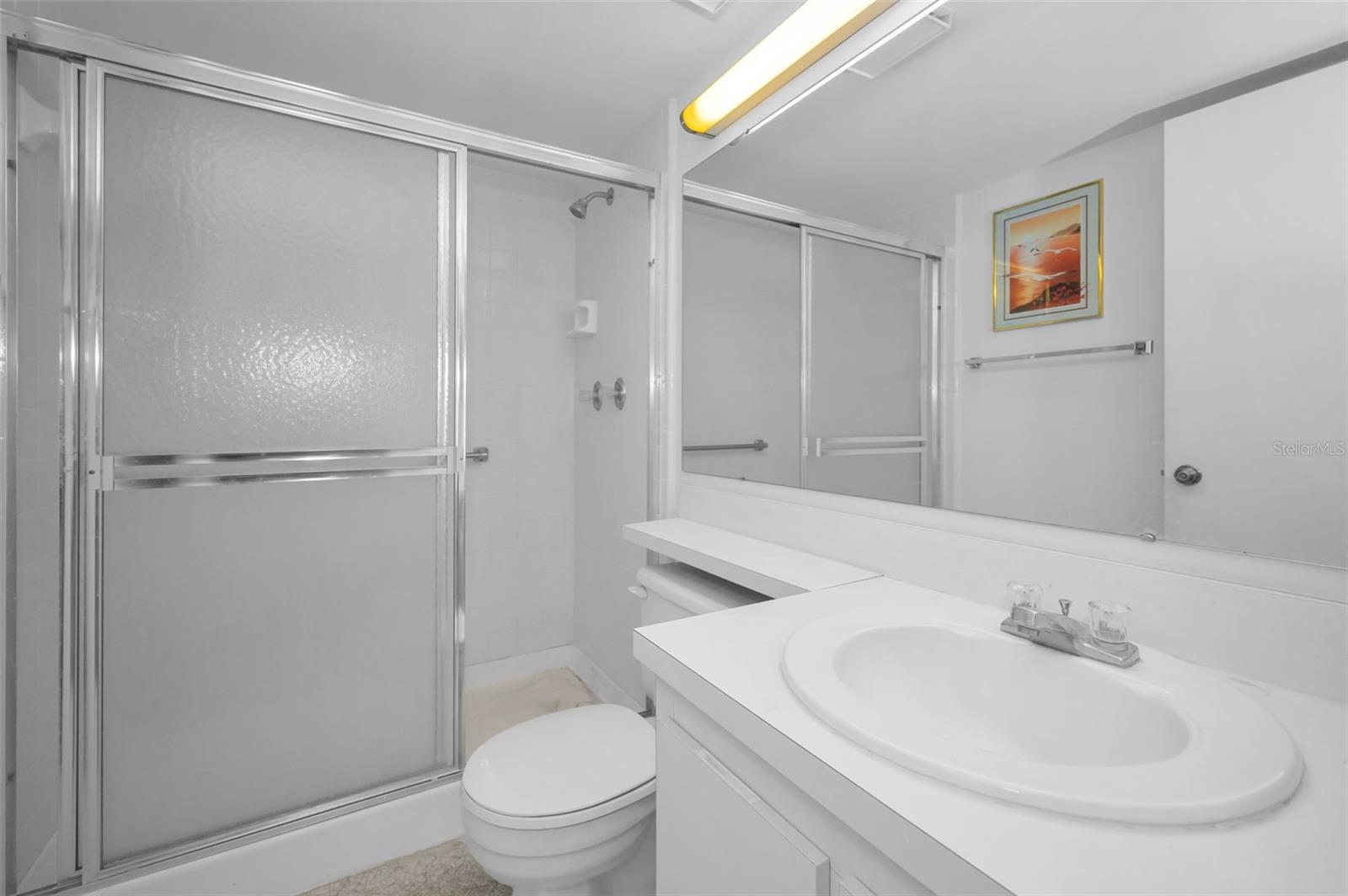 PINE RIDGE AT LAKE TARPON VILLAGE - Residential